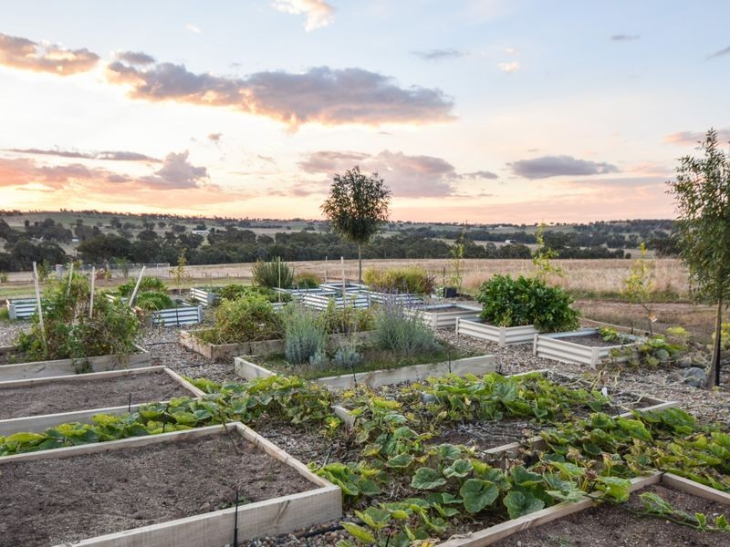 109 Dananbilla Drive, Young NSW 2594