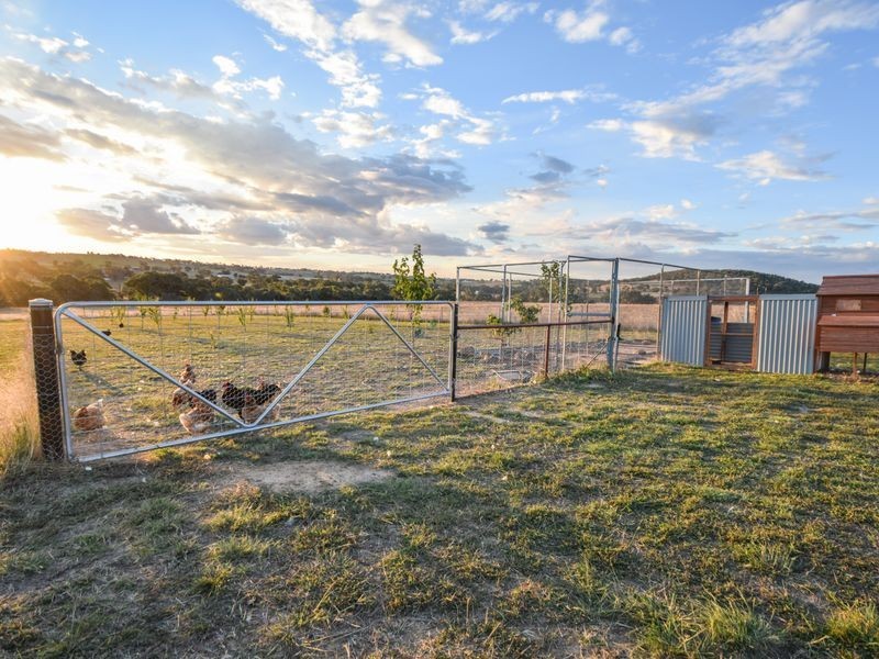 109 Dananbilla Drive, Young NSW 2594