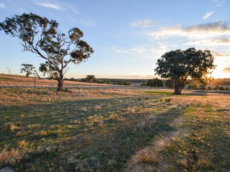 109 Dananbilla Drive, Young NSW 2594