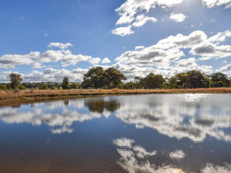 109 Dananbilla Drive, Young NSW 2594