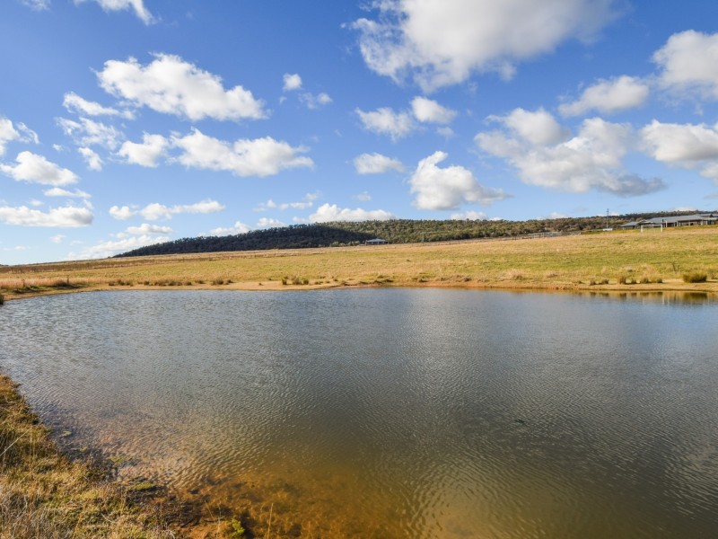 109 Dananbilla Drive, Young NSW 2594