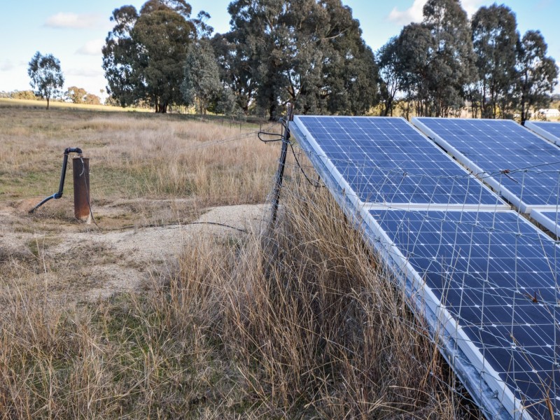 109 Dananbilla Drive, Young NSW 2594