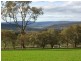 3967 Murringo Road, Young NSW 2594