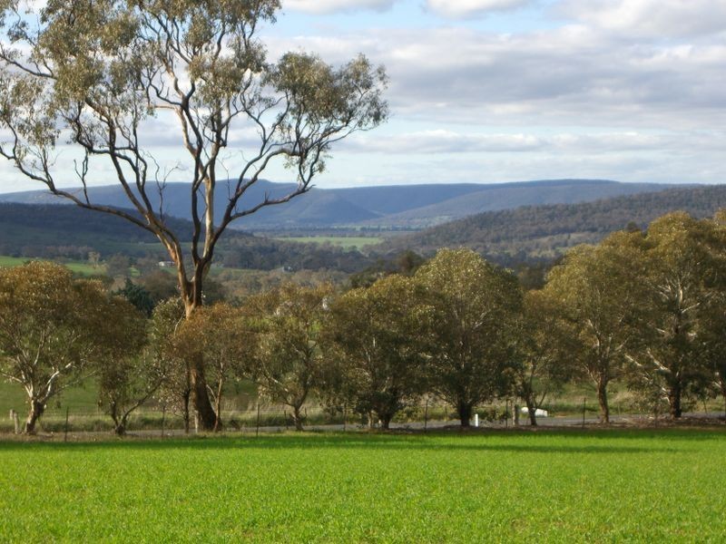 3967 Murringo Road, Young NSW 2594