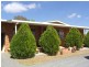 3967 Murringo Road, Young NSW 2594
