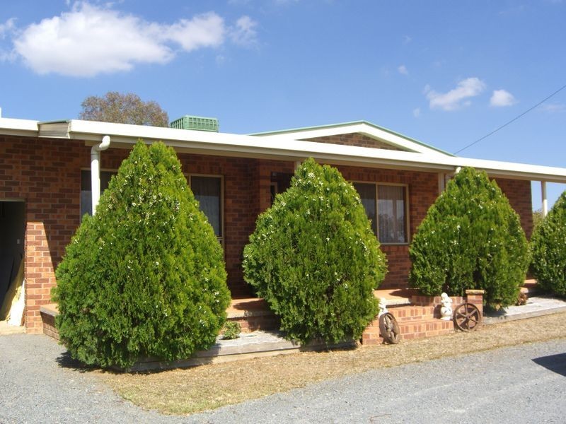 3967 Murringo Road, Young NSW 2594