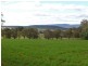 3967 Murringo Road, Young NSW 2594