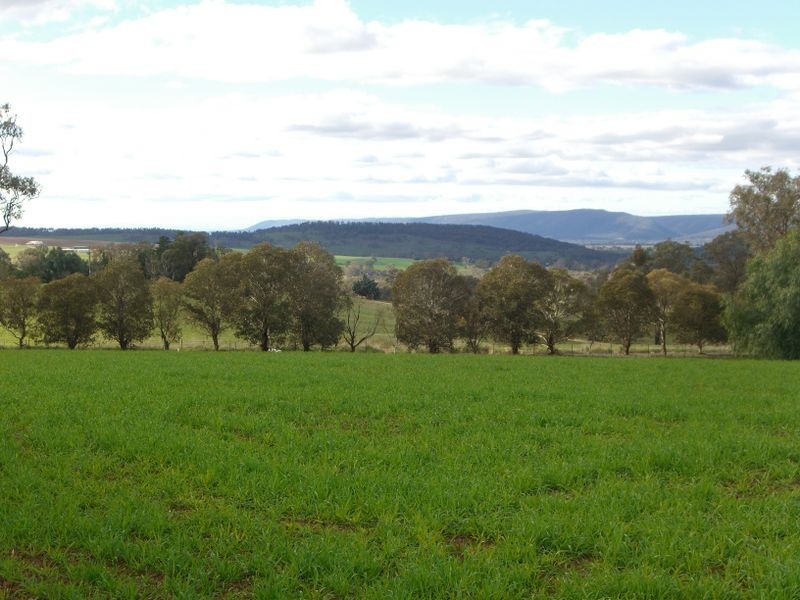 3967 Murringo Road, Young NSW 2594