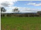 3967 Murringo Road, Young NSW 2594