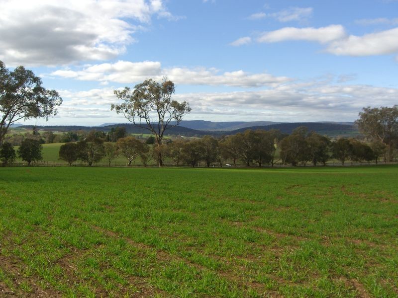 3967 Murringo Road, Young NSW 2594