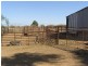 3967 Murringo Road, Young NSW 2594