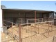 3967 Murringo Road, Young NSW 2594