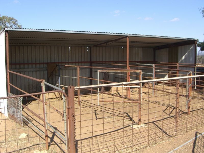 3967 Murringo Road, Young NSW 2594