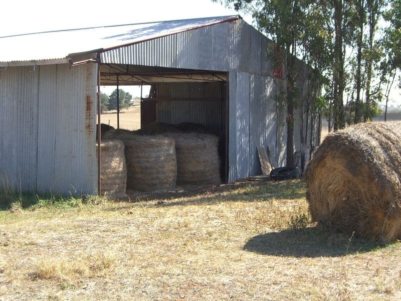 3967 Murringo Road, Young NSW 2594