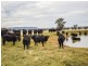 3374 Murringo Rd, Young NSW 2594