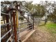 3374 Murringo Rd, Young NSW 2594