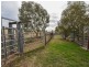 3374 Murringo Rd, Young NSW 2594