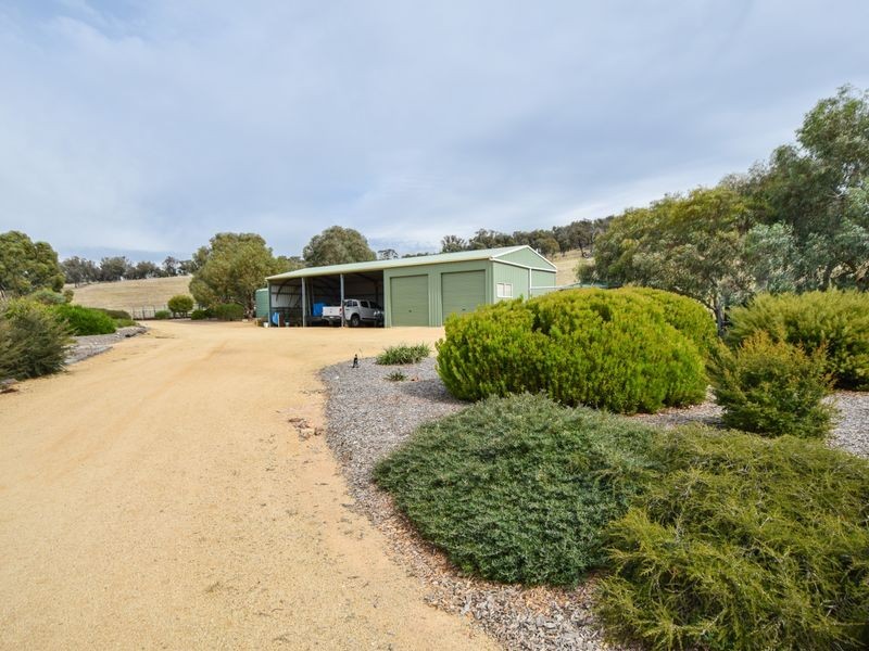 3374 Murringo Rd, Young NSW 2594