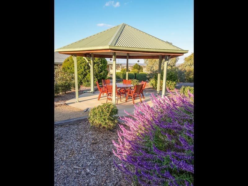 3374 Murringo Rd, Young NSW 2594