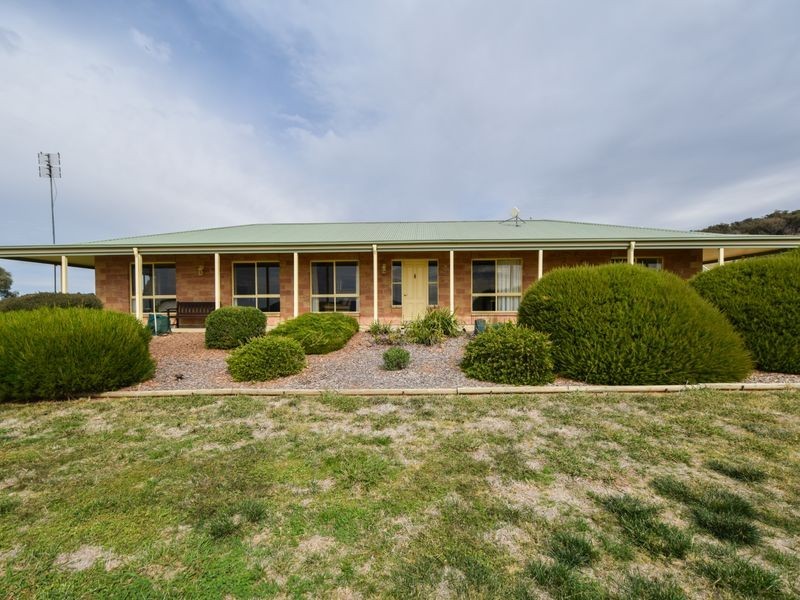 3374 Murringo Rd, Young NSW 2594