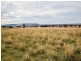 3374 Murringo Rd, Young NSW 2594