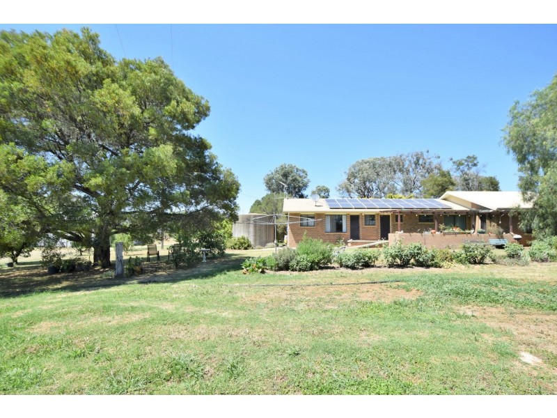 3346 Murringo Rd, Young NSW 2594
