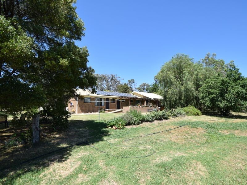 3346 Murringo Rd, Young NSW 2594