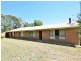 3346 Murringo Rd, Young NSW 2594