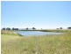 3346 Murringo Rd, Young NSW 2594