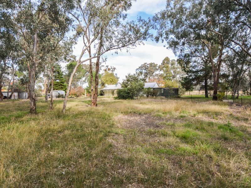 930 Monteagle Stock Route Rd Eest, Young NSW 2594