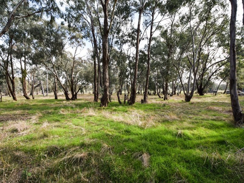 930 Monteagle Stock Route Rd Eest, Young NSW 2594