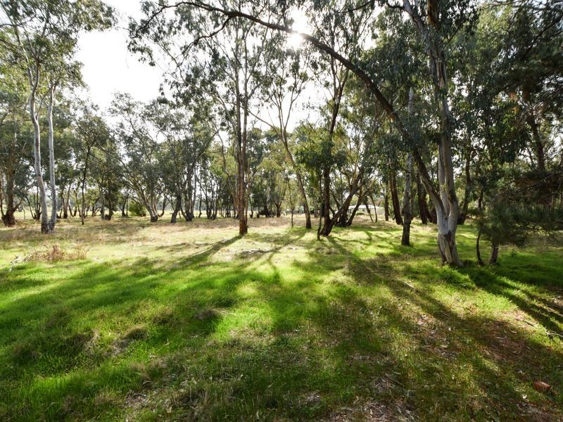 930 Monteagle Stock Route Rd Eest, Young NSW 2594