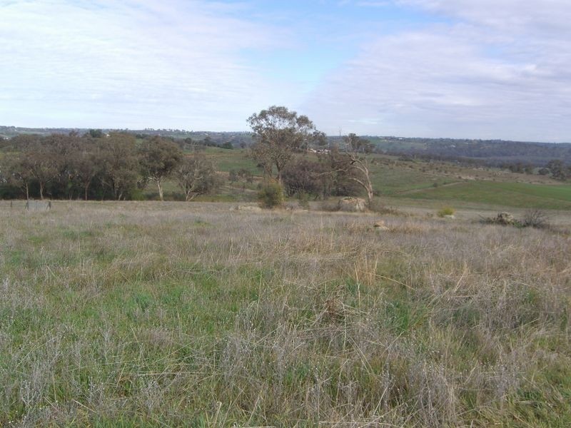 30 Forbes Lane, Young NSW 2594