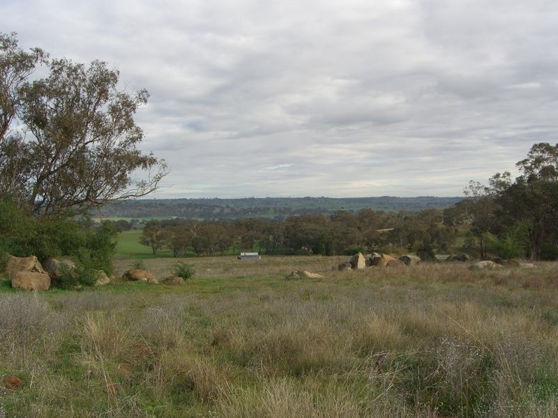 30 Forbes Lane, Young NSW 2594