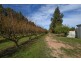 156 Caroona Road Wombat, Young NSW 2594