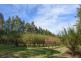 156 Caroona Road Wombat, Young NSW 2594
