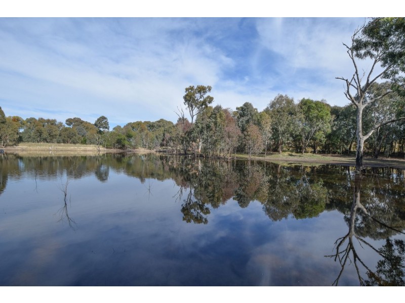 156 Caroona Road Wombat, Young NSW 2594