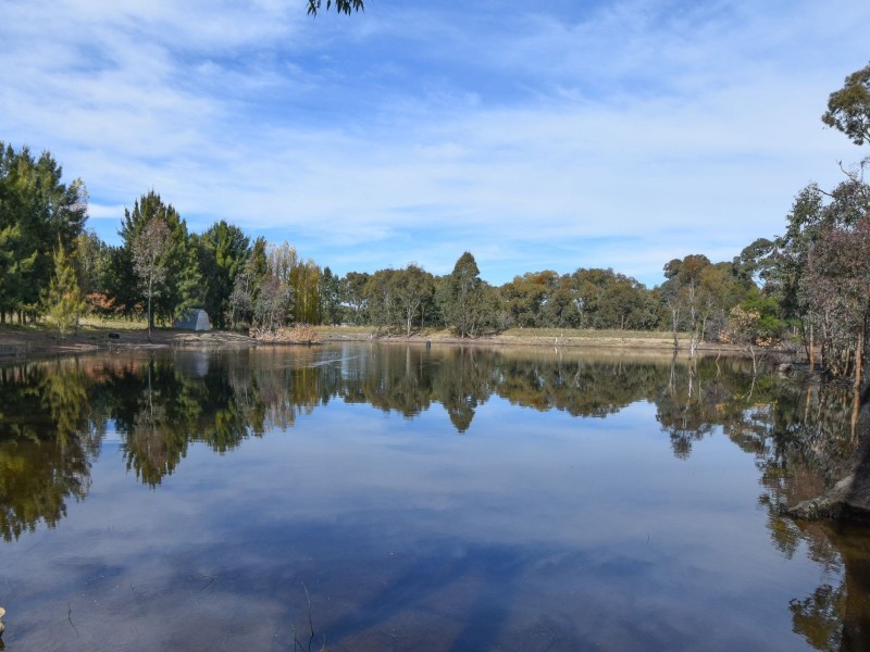 156 Caroona Road Wombat, Young NSW 2594