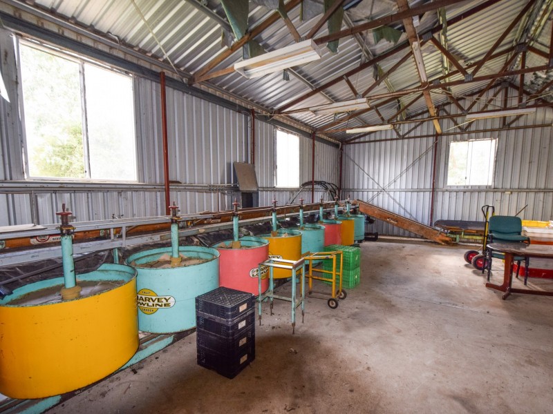 156 Caroona Road Wombat, Young NSW 2594