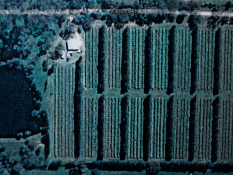 156 Caroona Road Wombat, Young NSW 2594