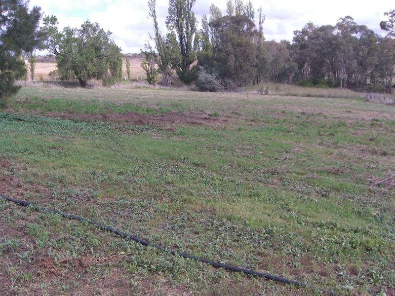 619 Olympic Highway, Young NSW 2594