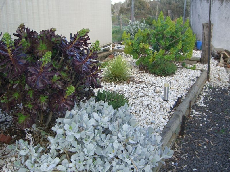 619 Olympic Highway, Young NSW 2594