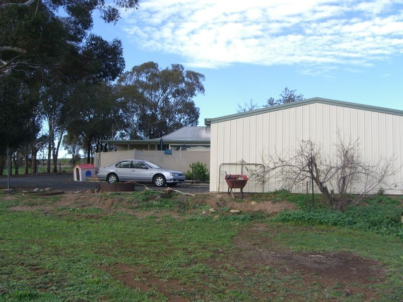 619 Olympic Highway, Young NSW 2594