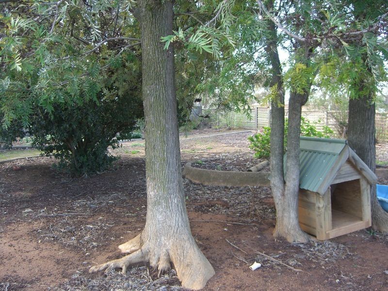 619 Olympic Highway, Young NSW 2594