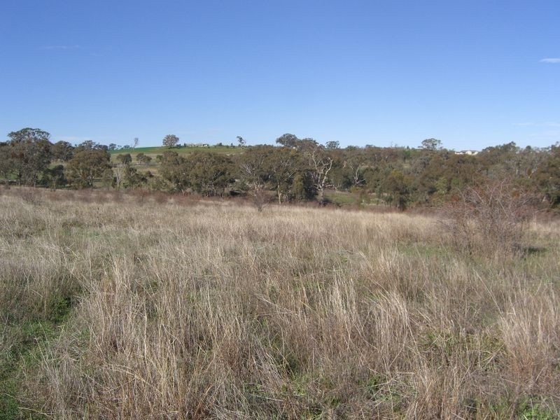 619 Olympic Highway, Young NSW 2594