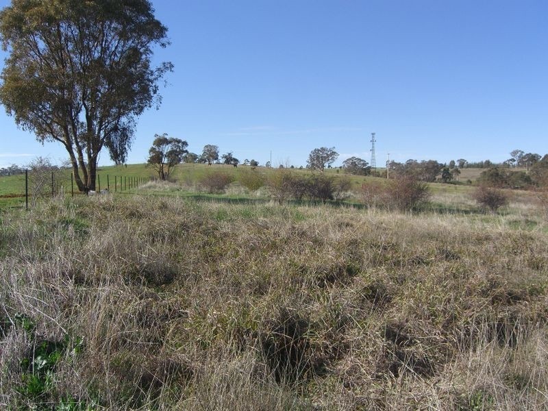 619 Olympic Highway, Young NSW 2594