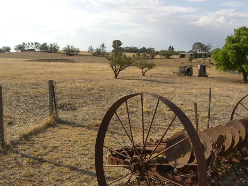 Prunevale Road, Young NSW 2594