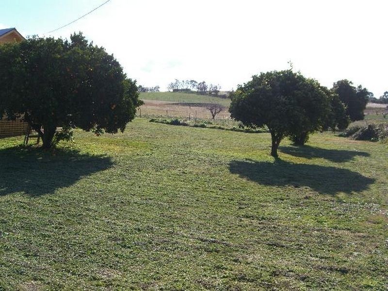 Prunevale Road, Young NSW 2594