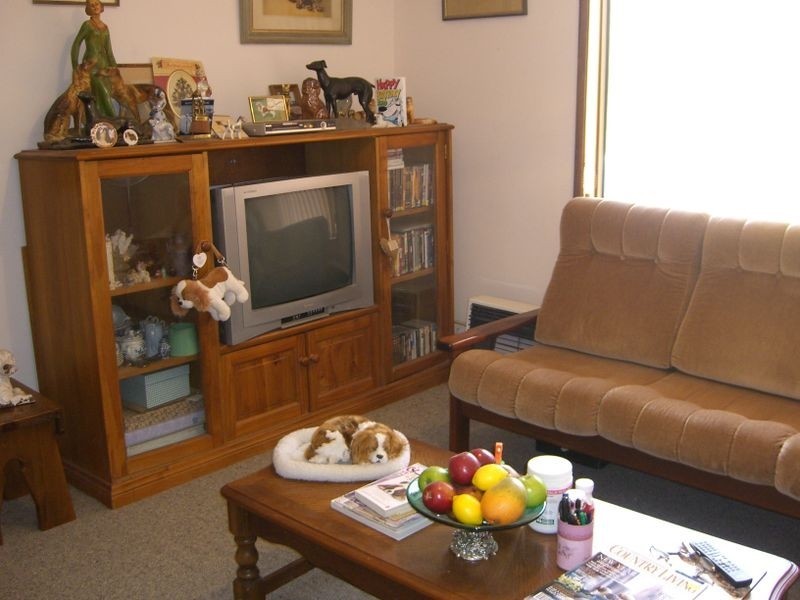 Prunevale Road, Young NSW 2594