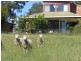 149 Chums Lane, Young NSW 2594